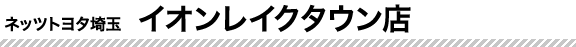イオンレイクタウン店