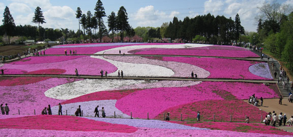羊山公園