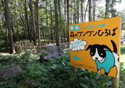 ドッグラン